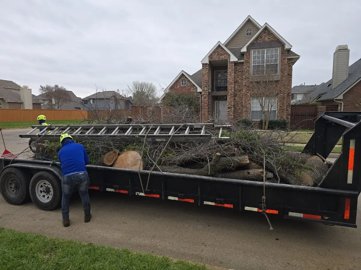 Expert Tree Removal with proper safety equipment in Mount Olive